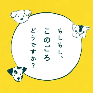 フェリシモのオウンドメディアがポッドキャスト番組『もしもし、このごろどうですか？』を配信開始